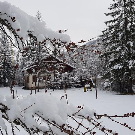 Chalet Familial 10 A 12 Places Dans Le Val D'Allos Villars-Colmars Exterior photo